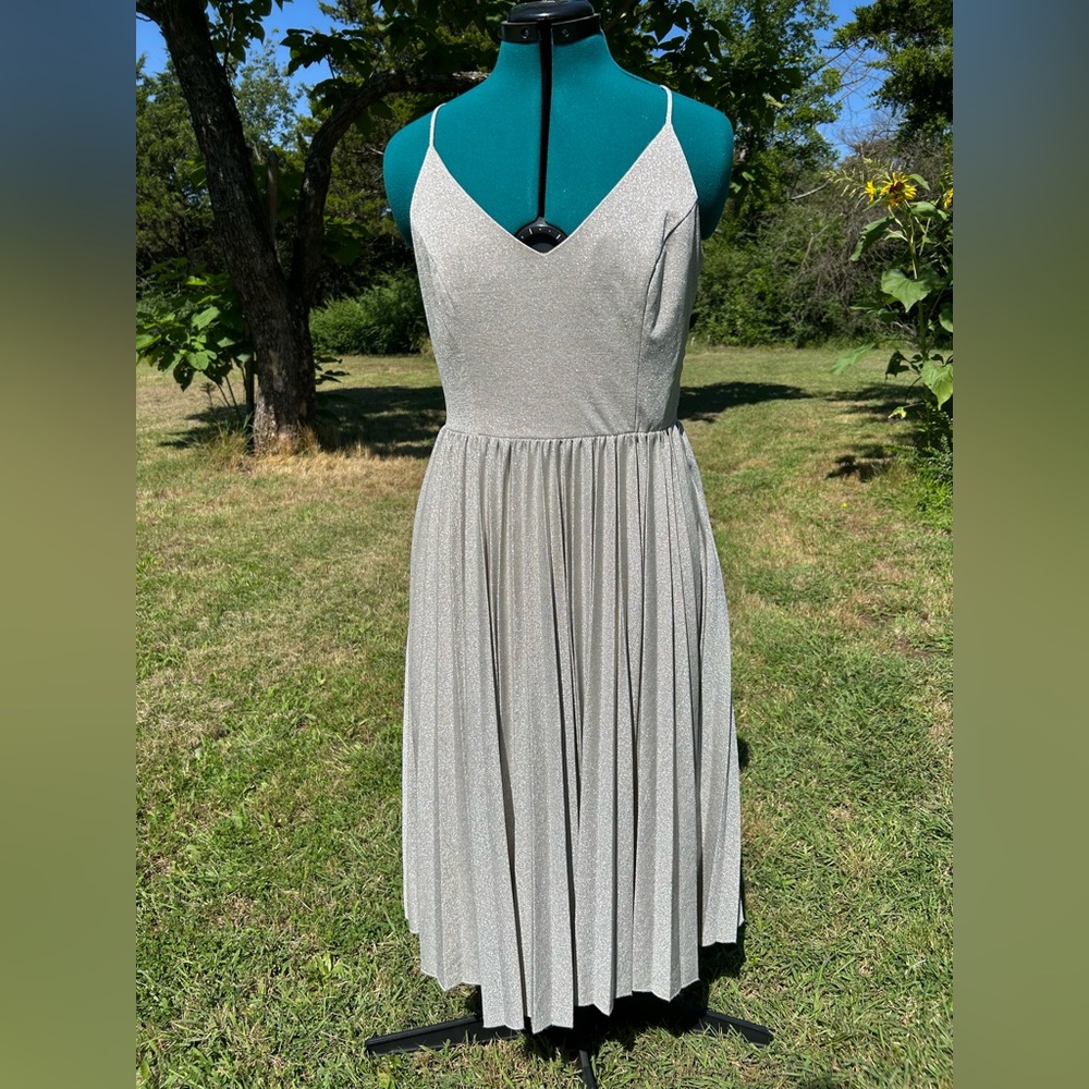 Silvery shimmery Anthropologie pleated ballet-style dress by Elevenses